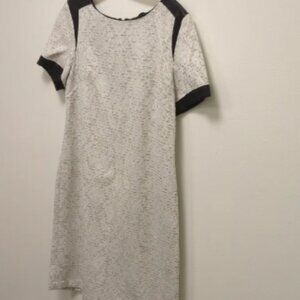 the Ricochet Klee Dress - Full Rear Zip - Flirty & Work Appropriate - Academia